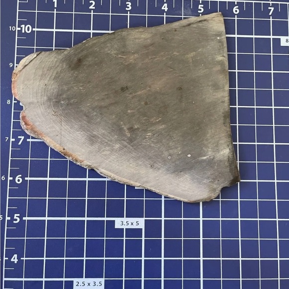 Small Polished Petrified Wood Full Slab w Bark 5 1/x 5” x 1/2” 8.6 oz. - Picture 9 of 9